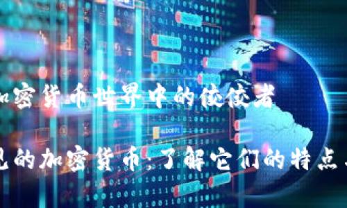 解读加密货币世界中的佼佼者

最常见的加密货币：了解它们的特点与应用