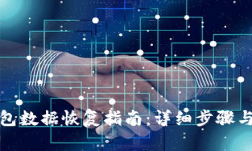 TP钱包数据恢复指南：详细步骤与技巧