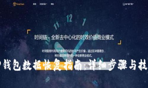 TP钱包数据恢复指南：详细步骤与技巧