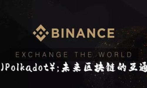 深入解析波卡（Polkadot）：未来区块链的互通性与应用潜力