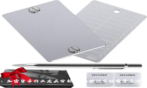 : 加密货币行业龙头分析：全面探讨市场前景与潜力