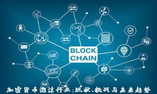 
加密货币泡沫行业：现状、挑战与未来趋势