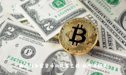 央行对加密货币的政策支持：机遇与挑战