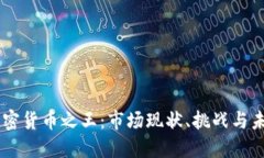 印度加密货币之王：市场
