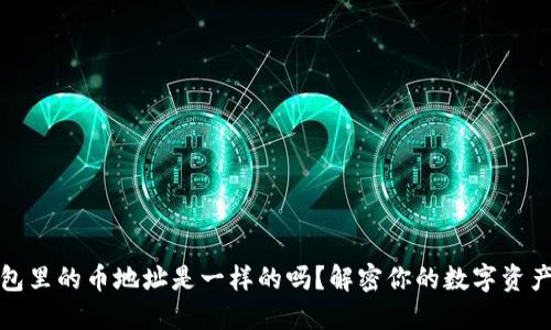 TP钱包里的币地址是一样的吗？解密你的数字资产安全