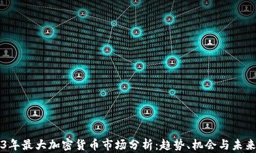 
2023年最大加密货币市场分析：趋势、机会与未来展望