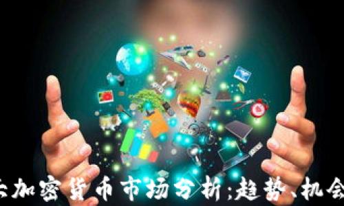 
2023年最大加密货币市场分析：趋势、机会与未来展望
