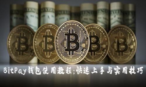 BitPay钱包使用教程：快速上手与实用技巧