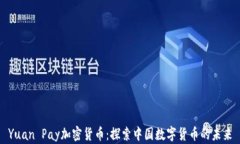 Yuan Pay加密货币：探索中国