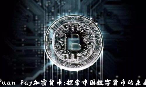 
Yuan Pay加密货币：探索中国数字货币的未来
