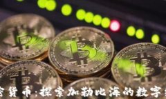 巴布达加密货币：探索加