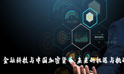 : 金融科技与中国加密货币：未来的机遇与挑战