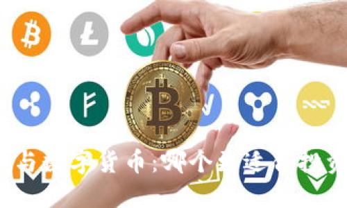 加密货币与数字货币：哪个更适合投资与使用？
