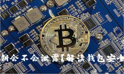 TP钱包的私钥会不会泄露？解读钱包安全与隐私保护