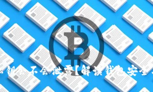 TP钱包的私钥会不会泄露？解读钱包安全与隐私保护