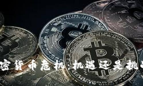 加密货币危机：机遇还是挑战？