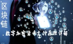 数字加密货币支付原理详