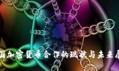 各国加密货币合作的现状