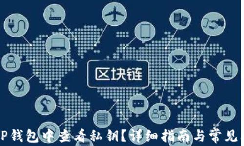 
如何在TP钱包中查看私钥？详细指南与常见问题解析