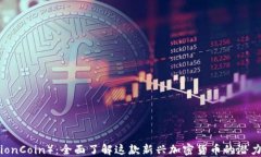 狮币（LionCoin）：全面了解