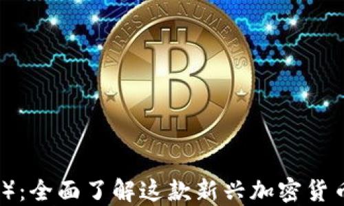 
狮币（LionCoin）：全面了解这款新兴加密货币的潜力与应用