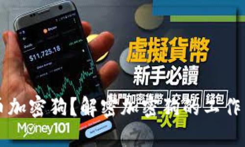 什么是货币加密狗？解密加密狗的工作原理与应用