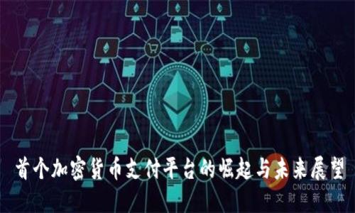 首个加密货币支付平台的崛起与未来展望