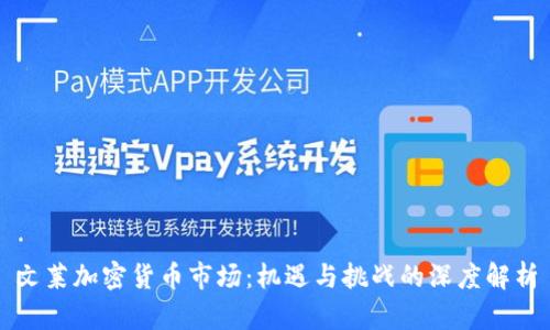 文莱加密货币市场：机遇与挑战的深度解析