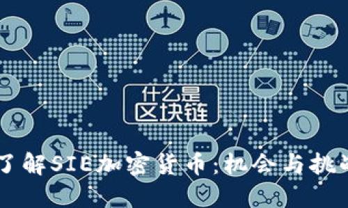 了解SIE加密货币：机会与挑战