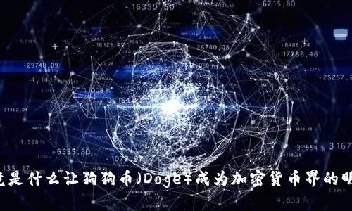 究竟是什么让狗狗币（Doge）成为加密货币界的明星？