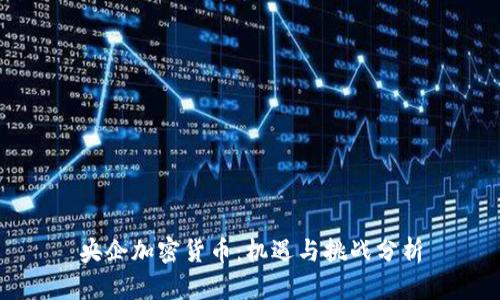 央企加密货币：机遇与挑战分析