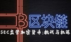 SEC监管加密货币：挑战与