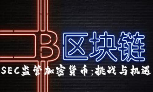 SEC监管加密货币：挑战与机遇