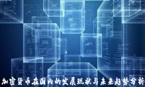 
加密货币在国内的发展现状与未来趋势分析