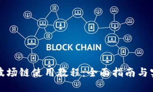 TP钱包波场链使用教程：全面指南与实用技巧