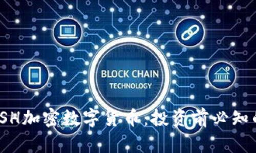 全面解析TSH加密数字货币：投资前必知的重要信息