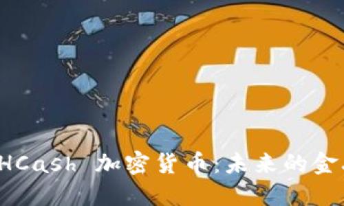 深入了解 HCash 加密货币：未来的金融解决方案
