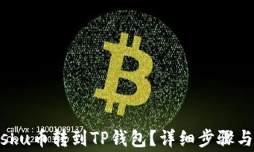 
如何将Kishu币转到TP钱包？详细步骤与注意事项