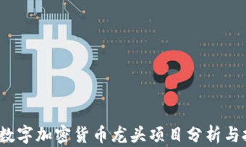 
2023年数字加密货币龙头项目分析与投资指南