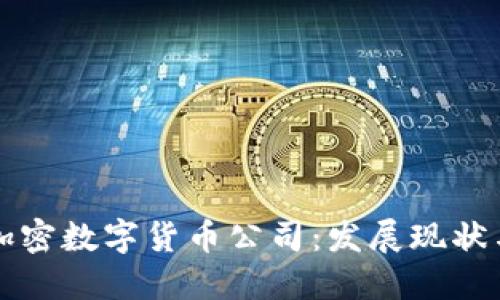 中国国产加密数字货币公司：发展现状与未来趋势