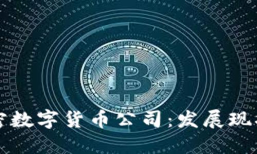 中国国产加密数字货币公司：发展现状与未来趋势