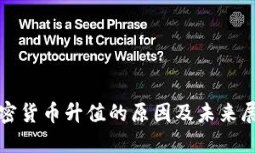 加密货币升值的原因及未来展望