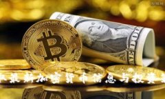 获取最新加密货币信息与