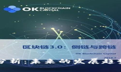 TP钱包前景分析：未来的发展趋势与市场潜力