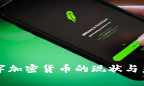 泰币数字加密货币的现状与未来展望