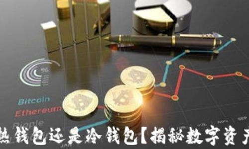 
tp钱包是热钱包还是冷钱包？揭秘数字资产存储方式