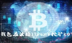 如何通过TP钱包在波场（
