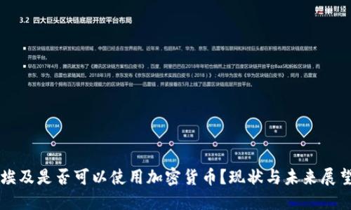 埃及是否可以使用加密货币？现状与未来展望