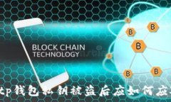     tp钱包私钥被盗后应如何应对？