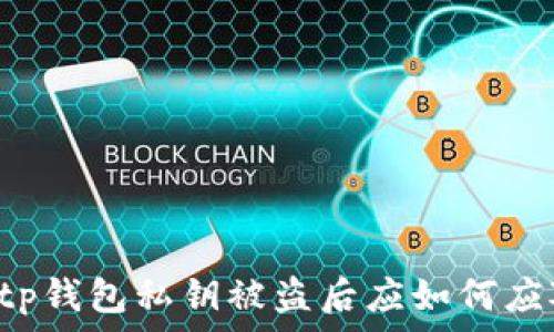   
  tp钱包私钥被盗后应如何应对？